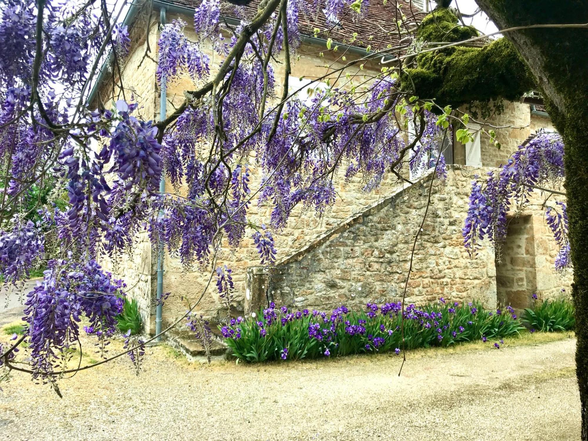 Manoir De Rieuzal Bed & Breakfast Loubressac Eksteriør bilde