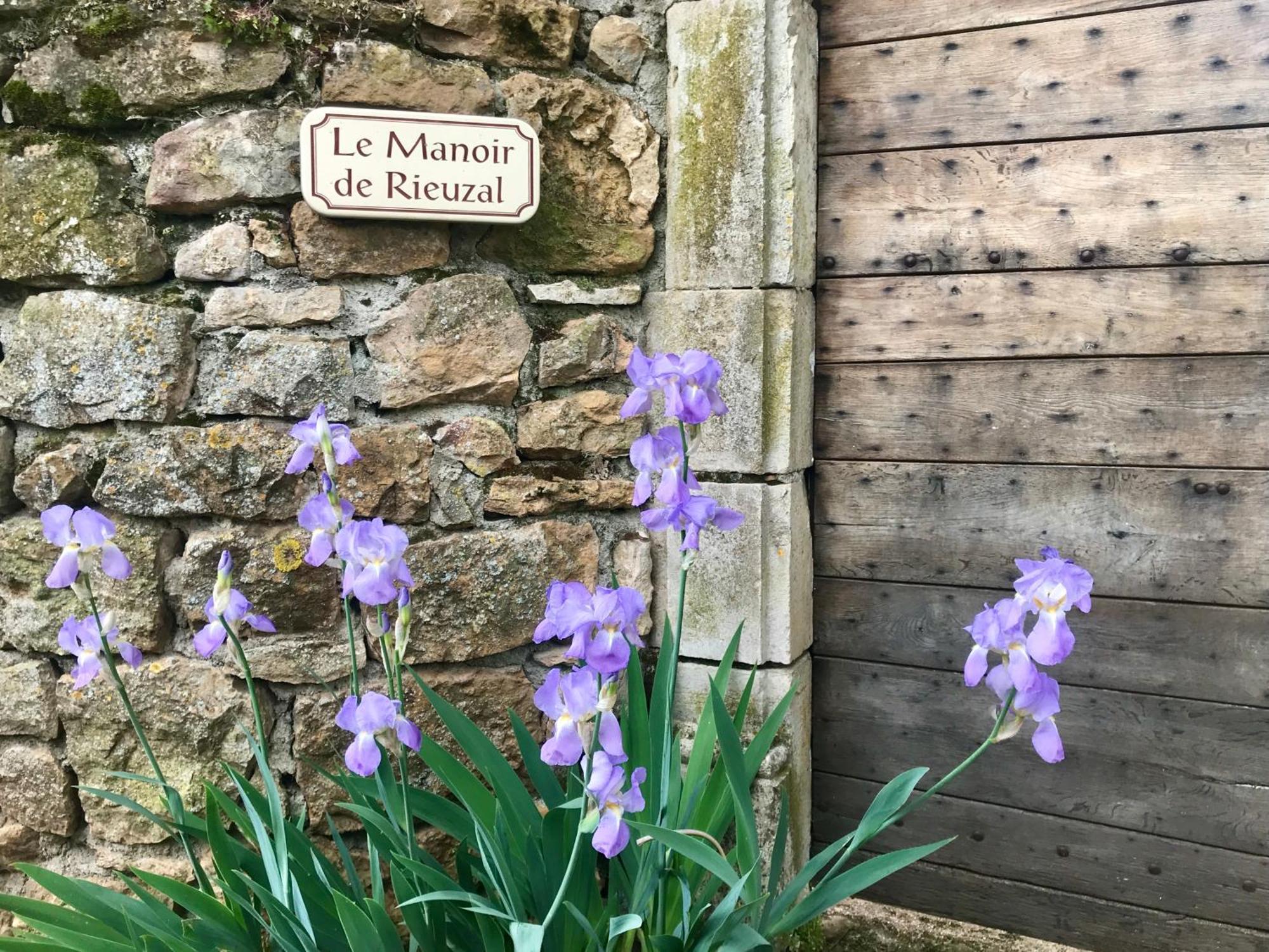 Manoir De Rieuzal Bed & Breakfast Loubressac Eksteriør bilde