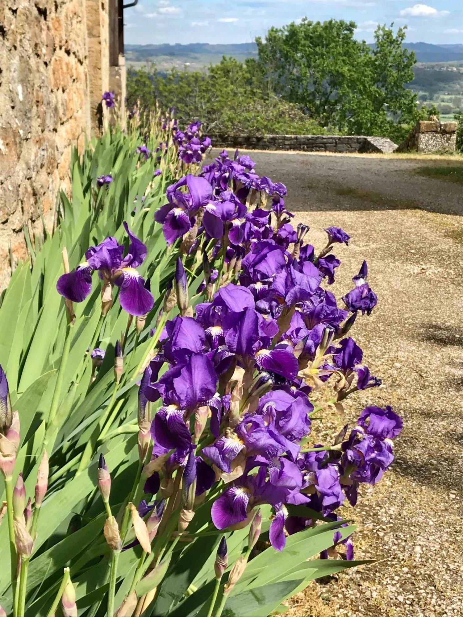Manoir De Rieuzal Bed & Breakfast Loubressac Eksteriør bilde