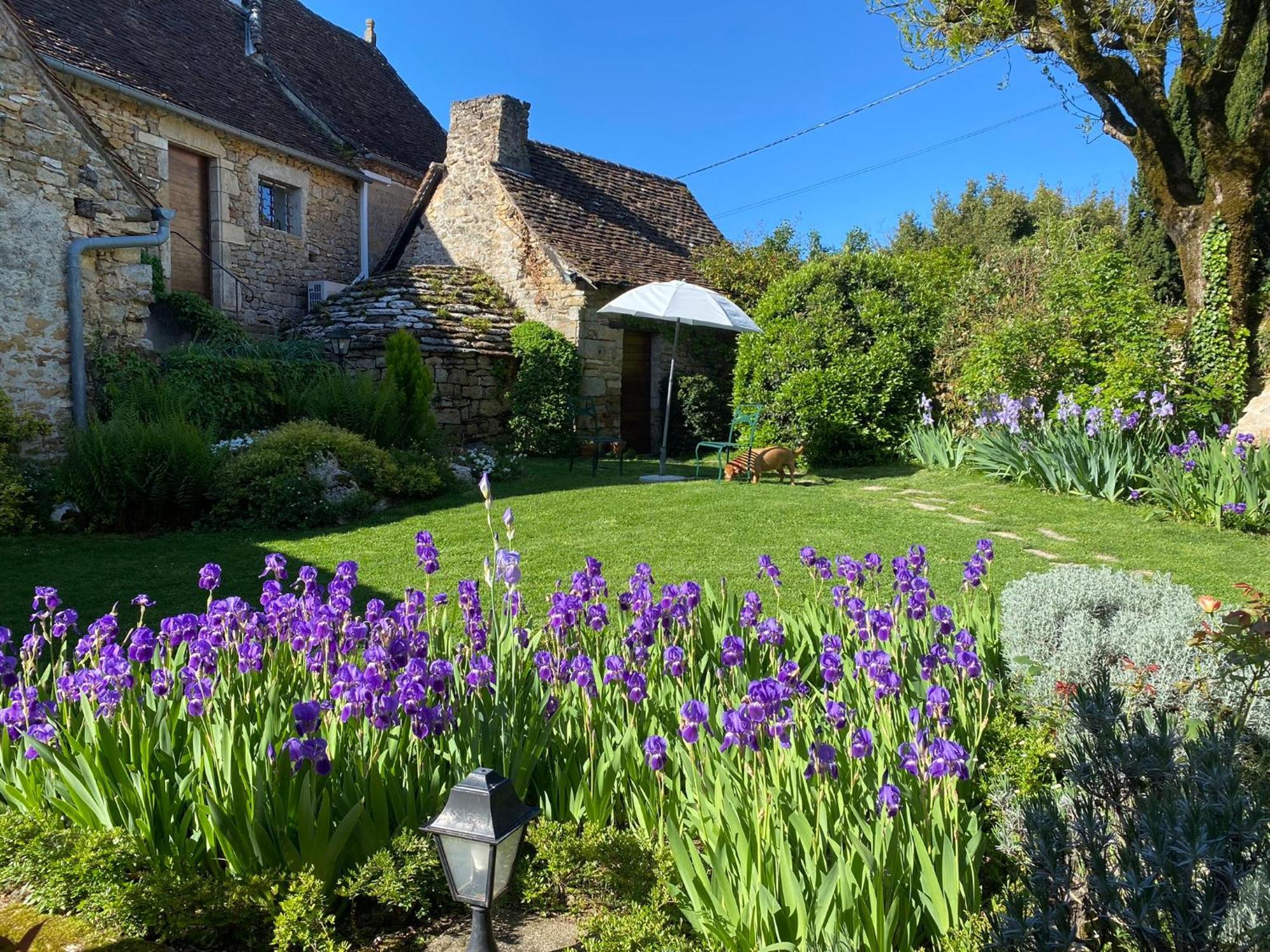 Manoir De Rieuzal Bed & Breakfast Loubressac Eksteriør bilde