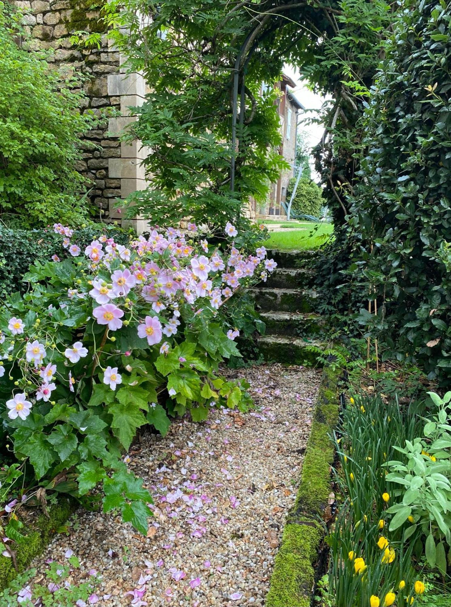 Manoir De Rieuzal Bed & Breakfast Loubressac Eksteriør bilde